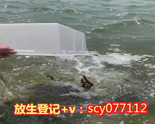 湛江怎么放生鱼籽，湛江周边哪里最适合放生鸭子，湛江哪里放生鱼最安全的地