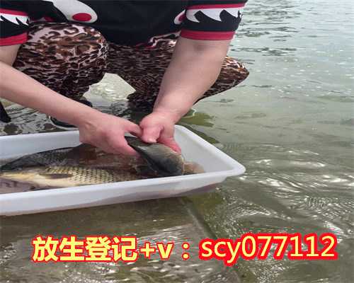 贵州放生园放生淡水鱼